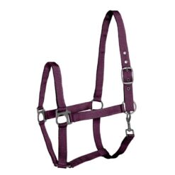 API päitsed Eco - Ploomililla