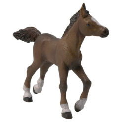 Mudelhobune - anglo araabia varss