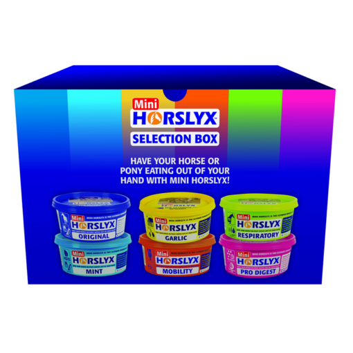 Horslyx lakukivi komplekt Selection Box
