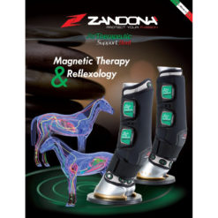 Zandona Therapeutic Support Boot