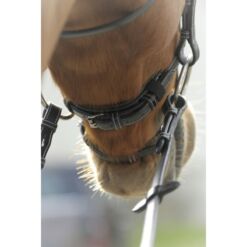 Penelope valjad Point Sellier - Must