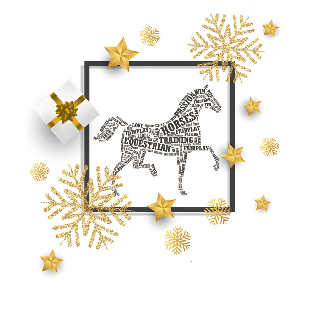 mida-kinkida-ratsutajale