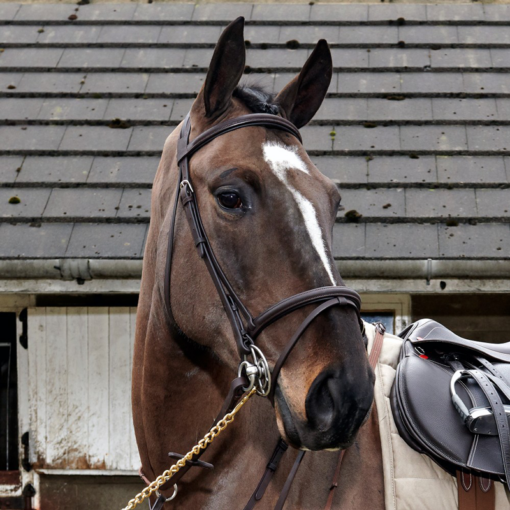 John Whitaker valjad Ready to Ride Flash