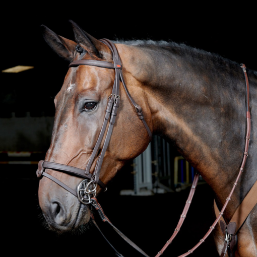 John Whitaker valjad Ready to Ride Snaffle