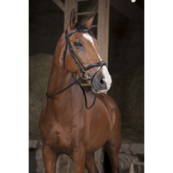 Norton Pro supergrip kummiratsmed Pro Thick - Must