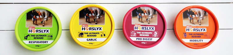 Horslyx blogi