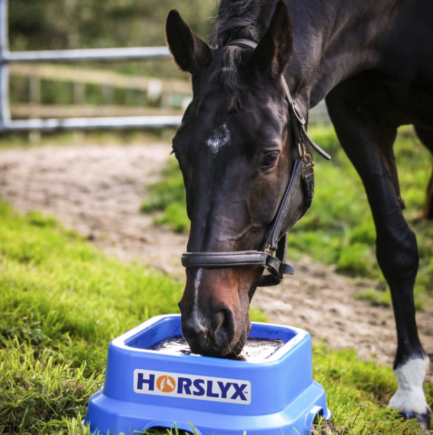 Horslyx koplis