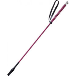 Whip & Go stekk Points 65 cm - Veinipunane