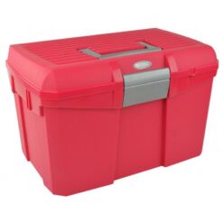 Hippotonic harjakast - Roosa