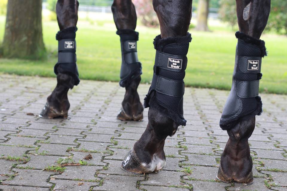 Back on Track füsioteraapilised karvaga jalakaitsmed 3D Mesh