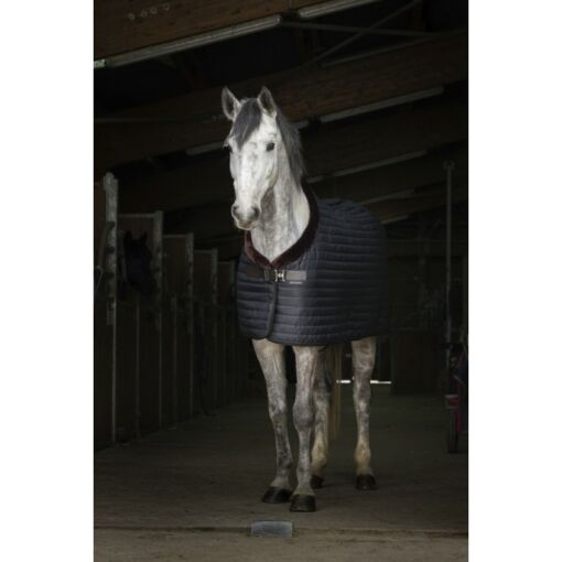 Equitheme pehme voodriga tallitekk Teddy must