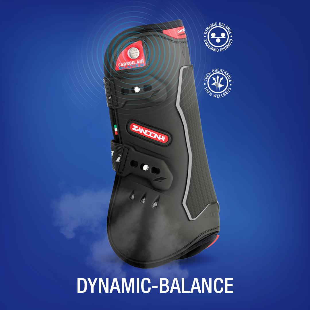 Zandona Carbon Air Balance