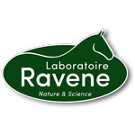 Ravene