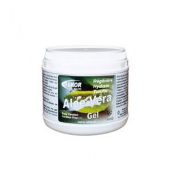 Rekor geel Aloe Vera