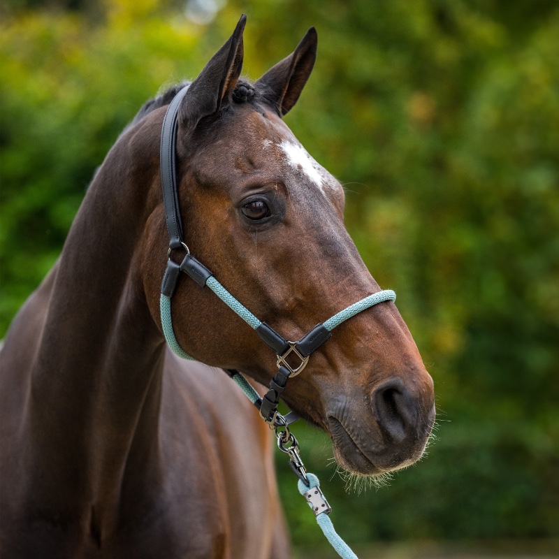 HV Polo päitsed ja nöör Franka - Heleroheline / must