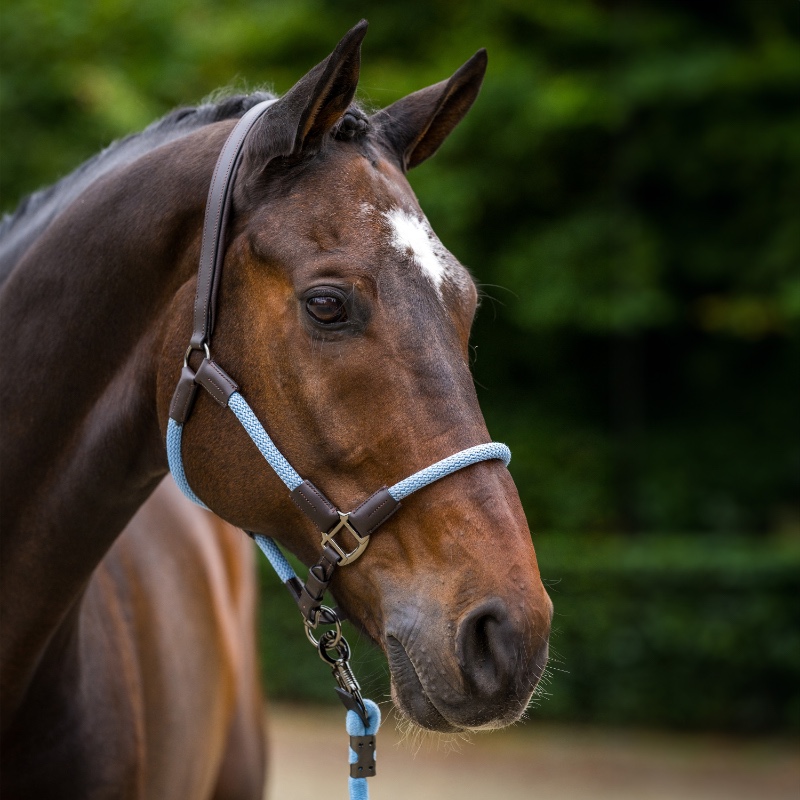 HV Polo päitsed ja nöör Franka - Helesinine / tumepruun