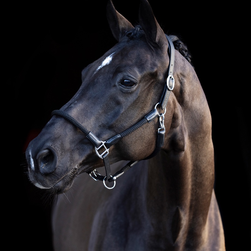 HV Polo päitsed ja nöör Franka - Must