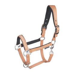 Waldhausen päitsed Athletic - Oranž