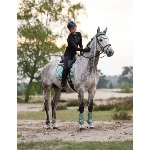 Imperial Riding valtrap, kõrvad ja koolisõidukaitsmed Lovely