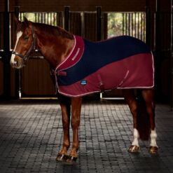 Weatherbeeta coolertekk Thermo-Air - Tumesinine/veinipunane