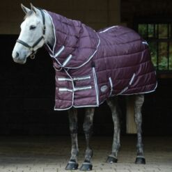 Weatherbeeta kaelaosaga tallitekk Comfitec PP Channel Quilt II 360g