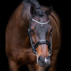 Valjastus ja abivahendid