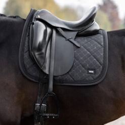 Koolisõiduvaltrapid