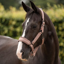 Päitsed ja jalutusnöörid