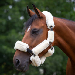 Päitsete pehmendused