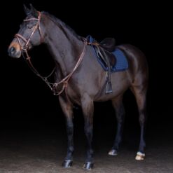 HV Polo martingal Legacy - Pruun