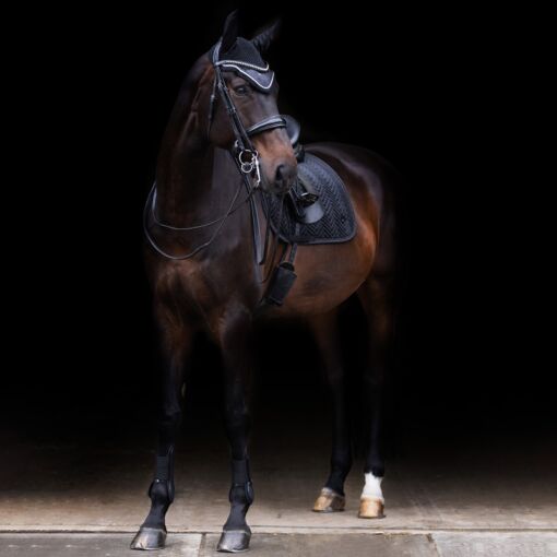 Imperial Riding koolisõiduvaltrap Shadow - Must
