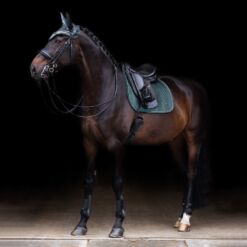 Imperial Riding koolisõiduvaltrap Shadow - Tumeroheline