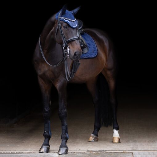 Imperial Riding koolisõiduvaltrap Shadow - Tumesinine