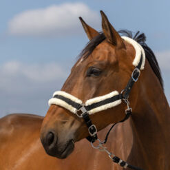 Equithéme päitsed Nylon Mouton - Must