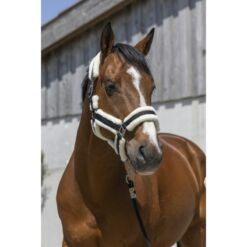 Norton päitsed Cosy - Must