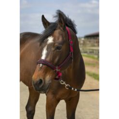 Equithéme päitsed Nylon Strass - Veinipunane