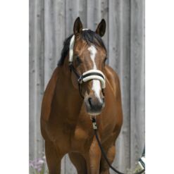 Riding World pehmendusega päitsed - Must