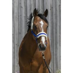 Riding World pehmendusega päitsed - SinineRiding World pehmendusega päitsed - Sinine