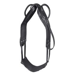 Waldhausen voltižeerimise sedelgas Star