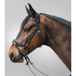 Waldhausen valjad Diamond Star - Must / roheline