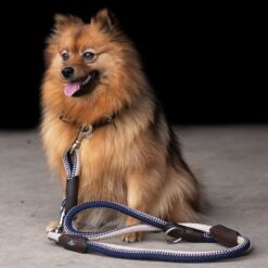 HV Polo koera kaelarihm Franka Rope - Tumesinine / beež