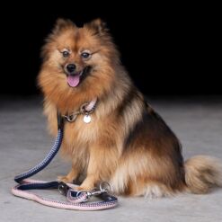 HV Polo koera kaelarihm Franka Rope - Tumesinine / roosa