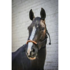 Penelope nöörpäitsed American - Must