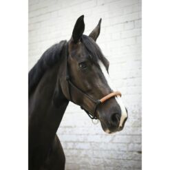 Penelope nöörpäitsed American - Must