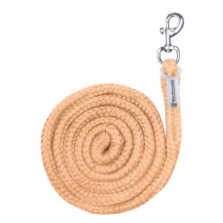 Waldhausen jalutusnöör Economic oranz