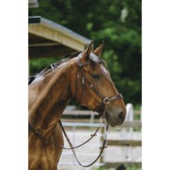 Norton bitless valjad - Pruun