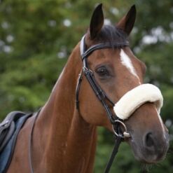 Valjastele ja päitsetele