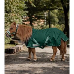 Waldhausen šetlandi poni õuetekk Comfort 600D 100g - Roheline