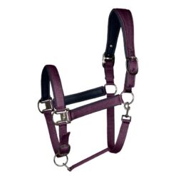 Fair Play päitsed Bilbao - Ploomililla