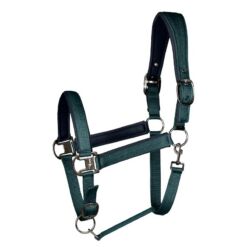 Fair Play päitsed Bilbao - Tumeroheline